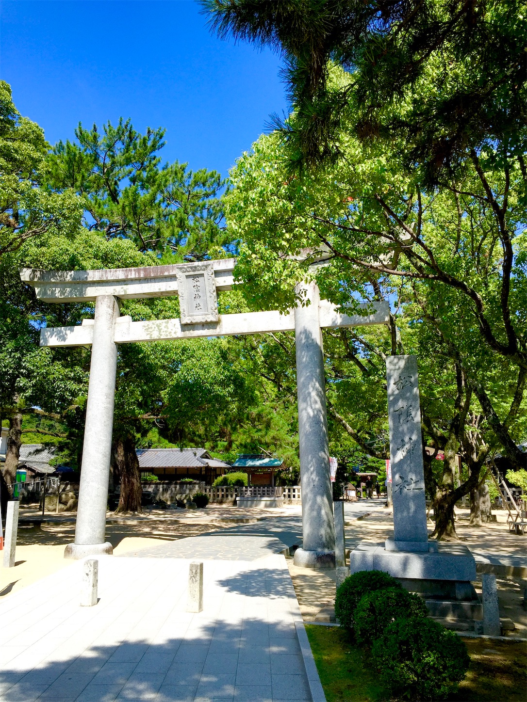 f:id:hotaru_spitz:20200404145952j:image