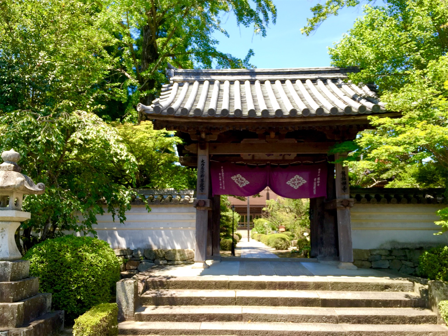 f:id:hotaru_spitz:20200404150002j:image