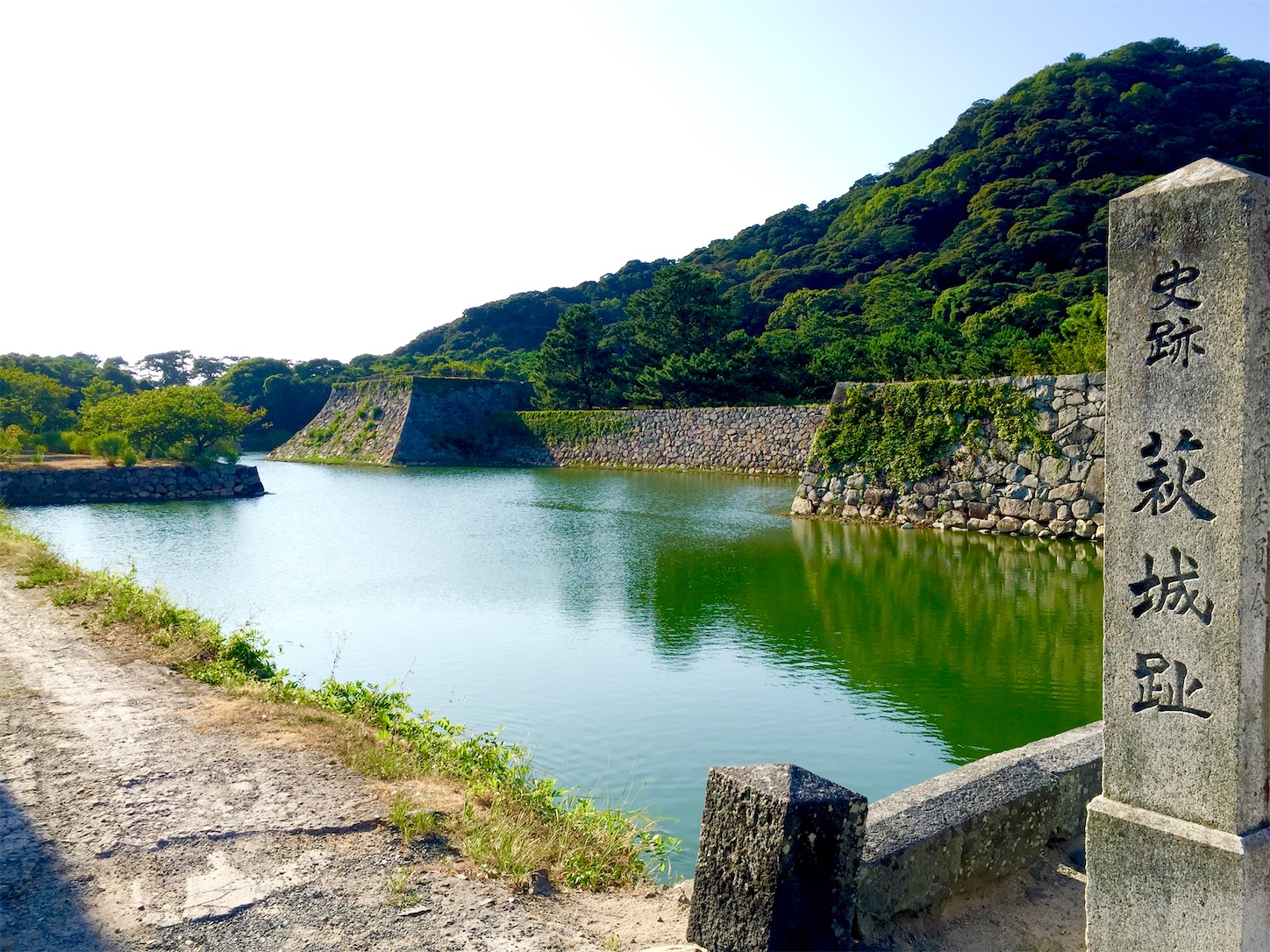 f:id:hotaru_spitz:20200404150016j:image