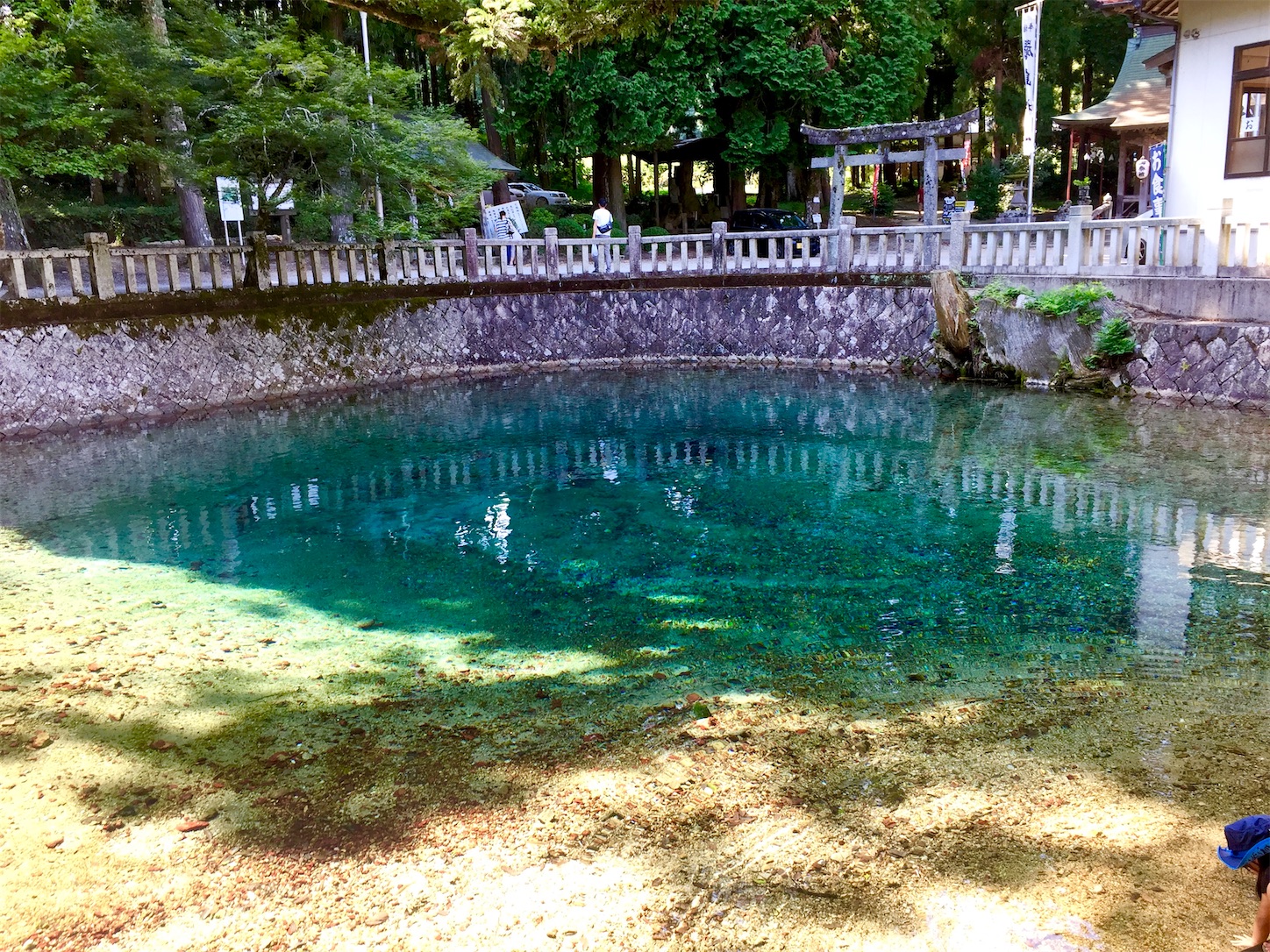 f:id:hotaru_spitz:20200404150022j:image