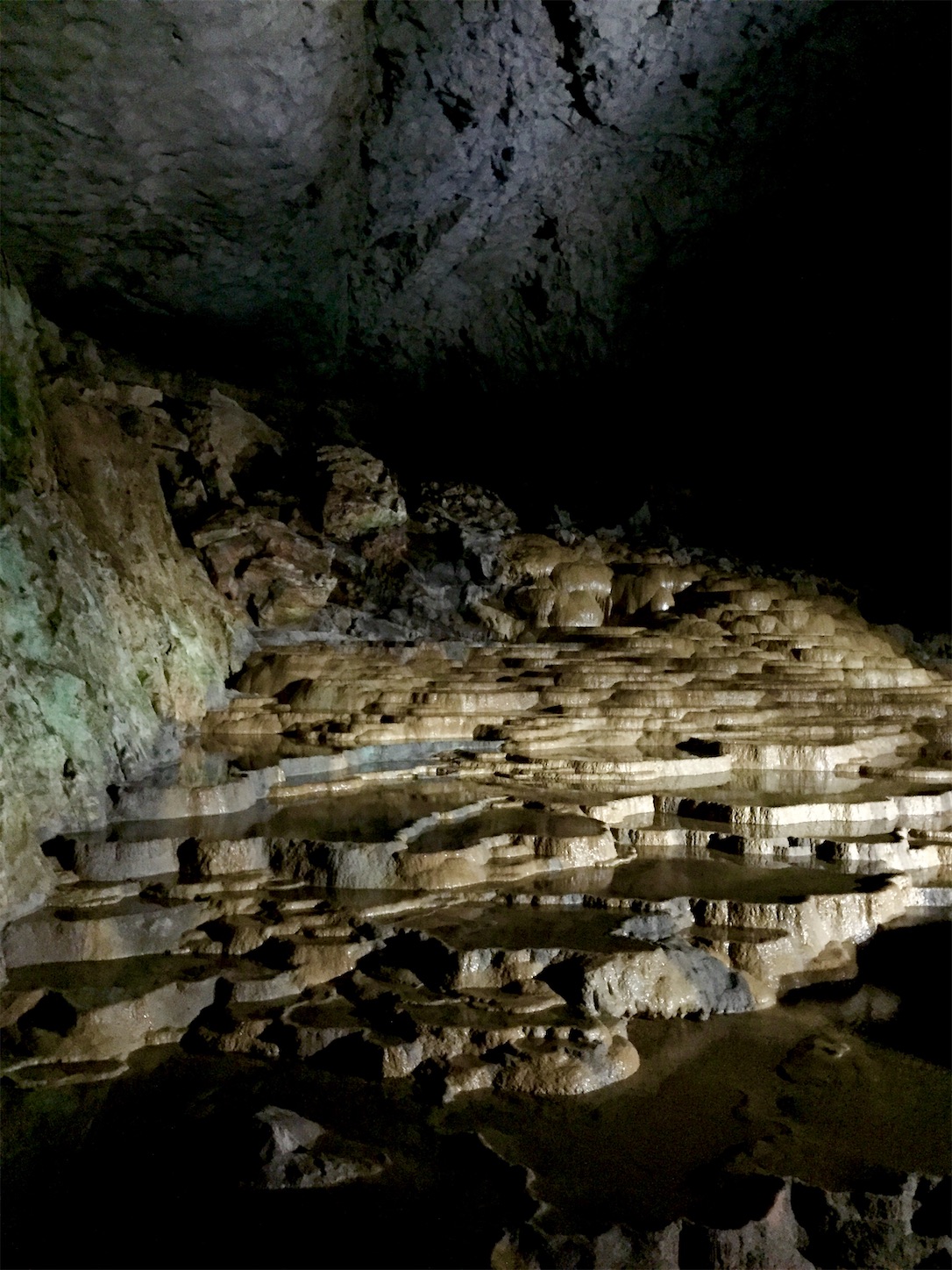 f:id:hotaru_spitz:20200404150026j:image