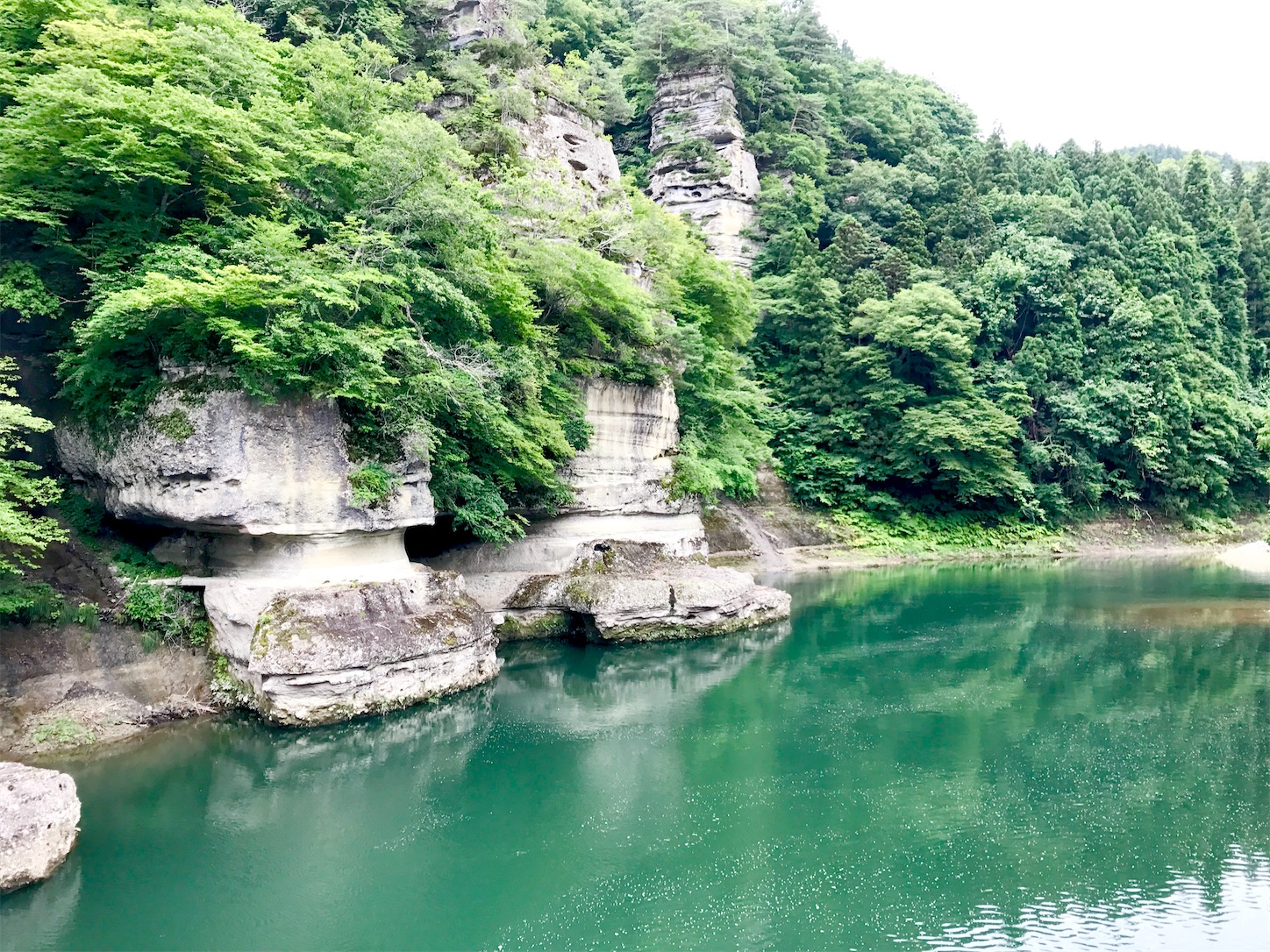 f:id:hotaru_spitz:20200404150703j:image