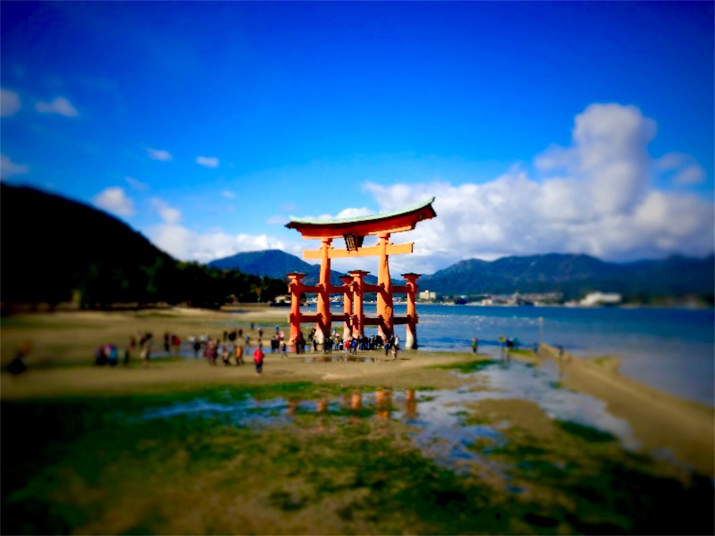 f:id:hotaru_spitz:20200404154811j:image