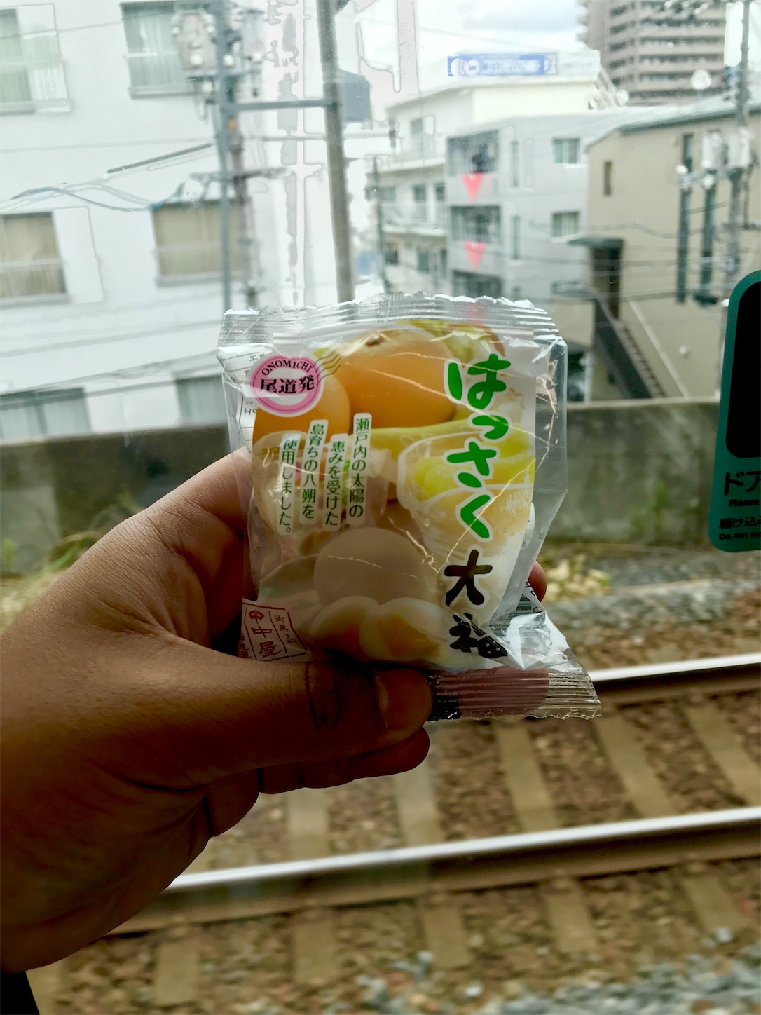 f:id:hotaru_spitz:20200404154852j:image