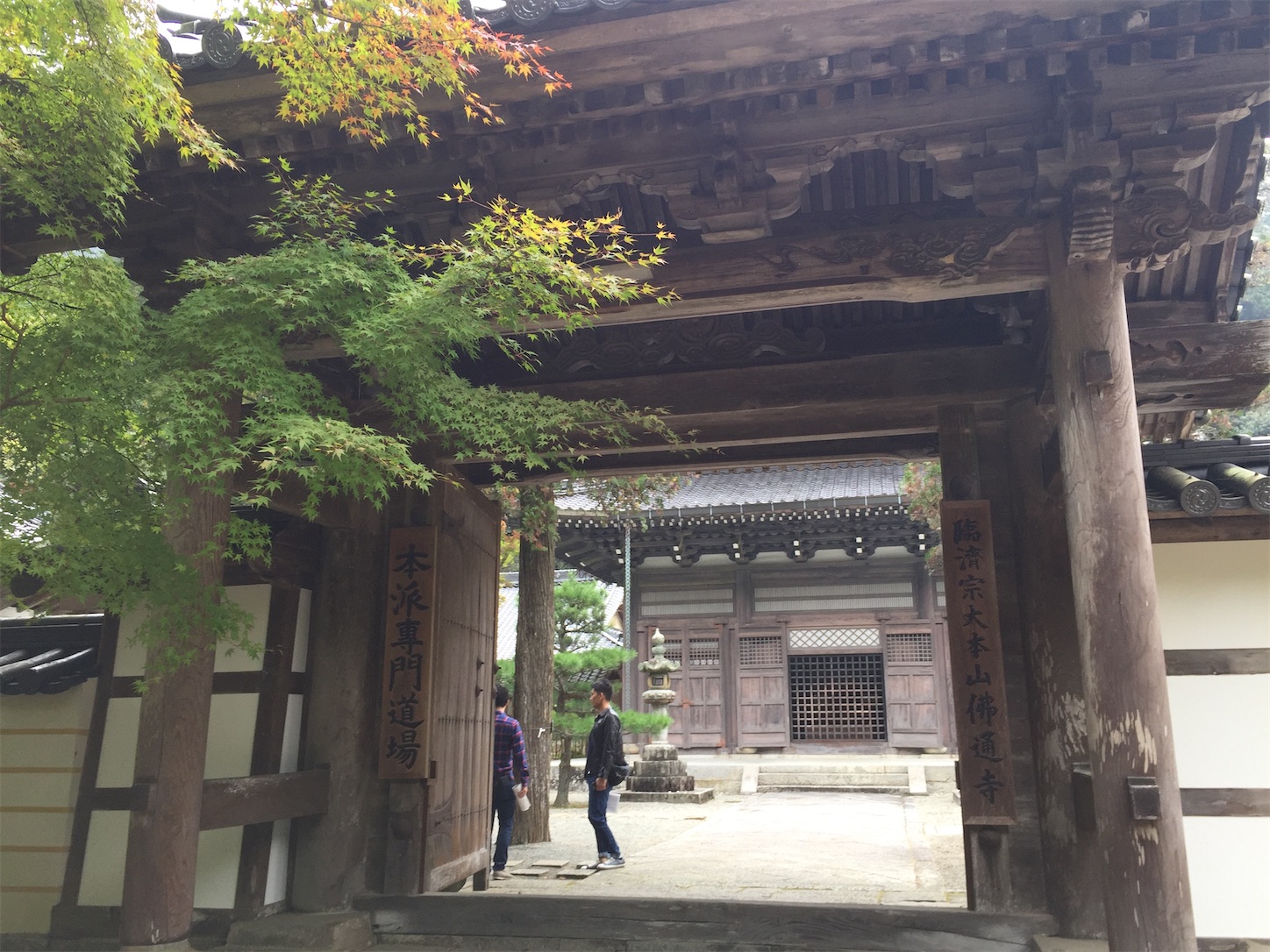 f:id:hotaru_spitz:20200404154902j:image