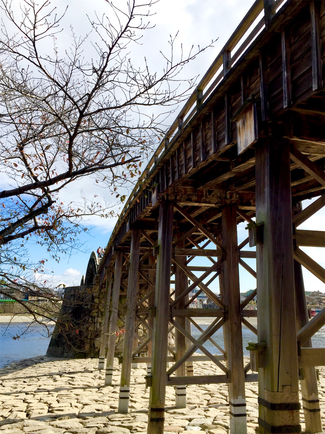 f:id:hotaru_spitz:20200404155324j:image