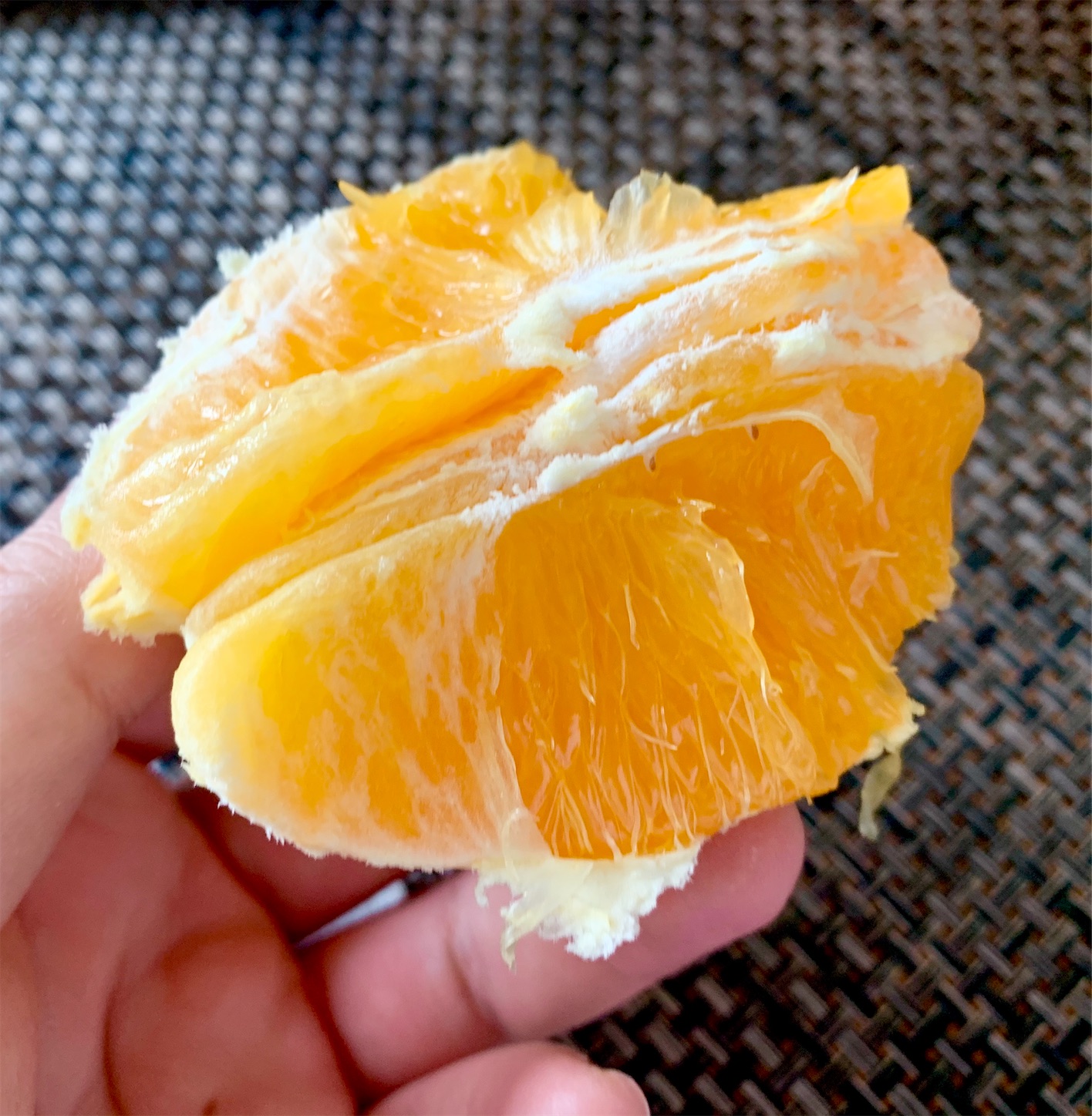 f:id:hotaru_spitz:20200430130434j:image