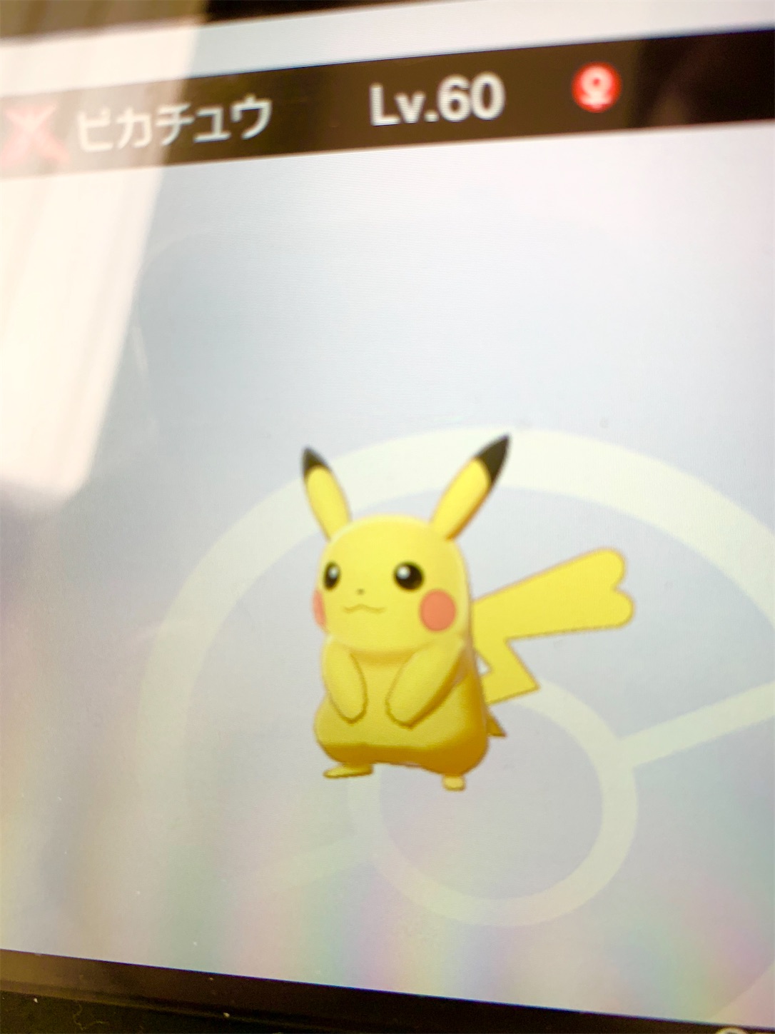 f:id:hotaru_spitz:20200512175930j:image