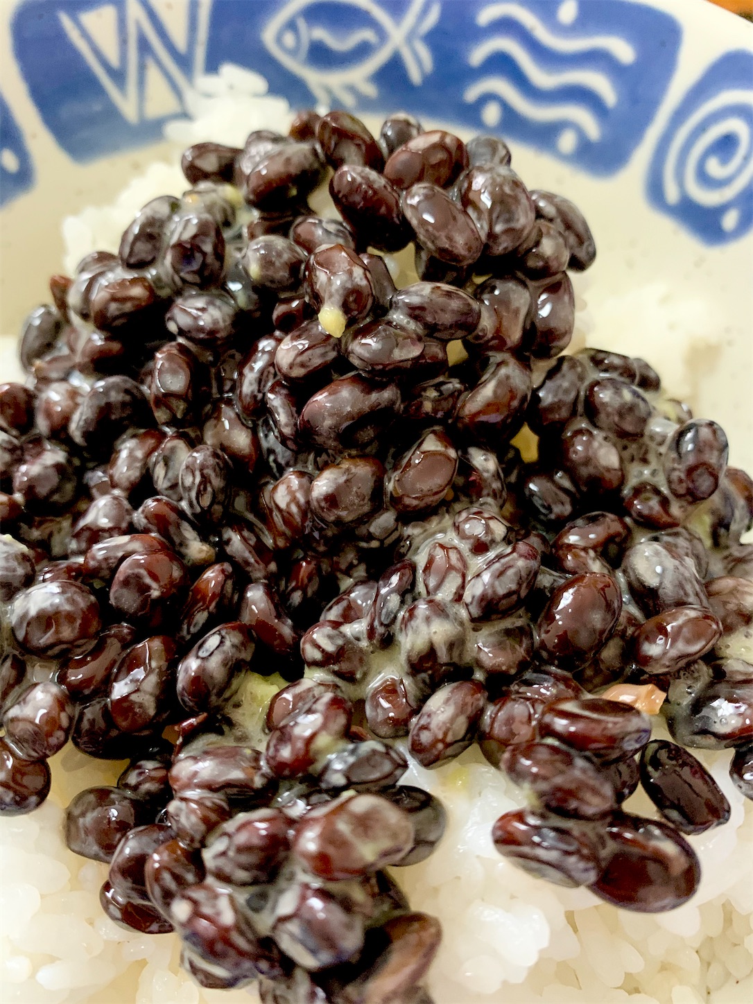 f:id:hotaru_spitz:20200520142907j:image f:id:hotaru_spitz:20200520142907j:image