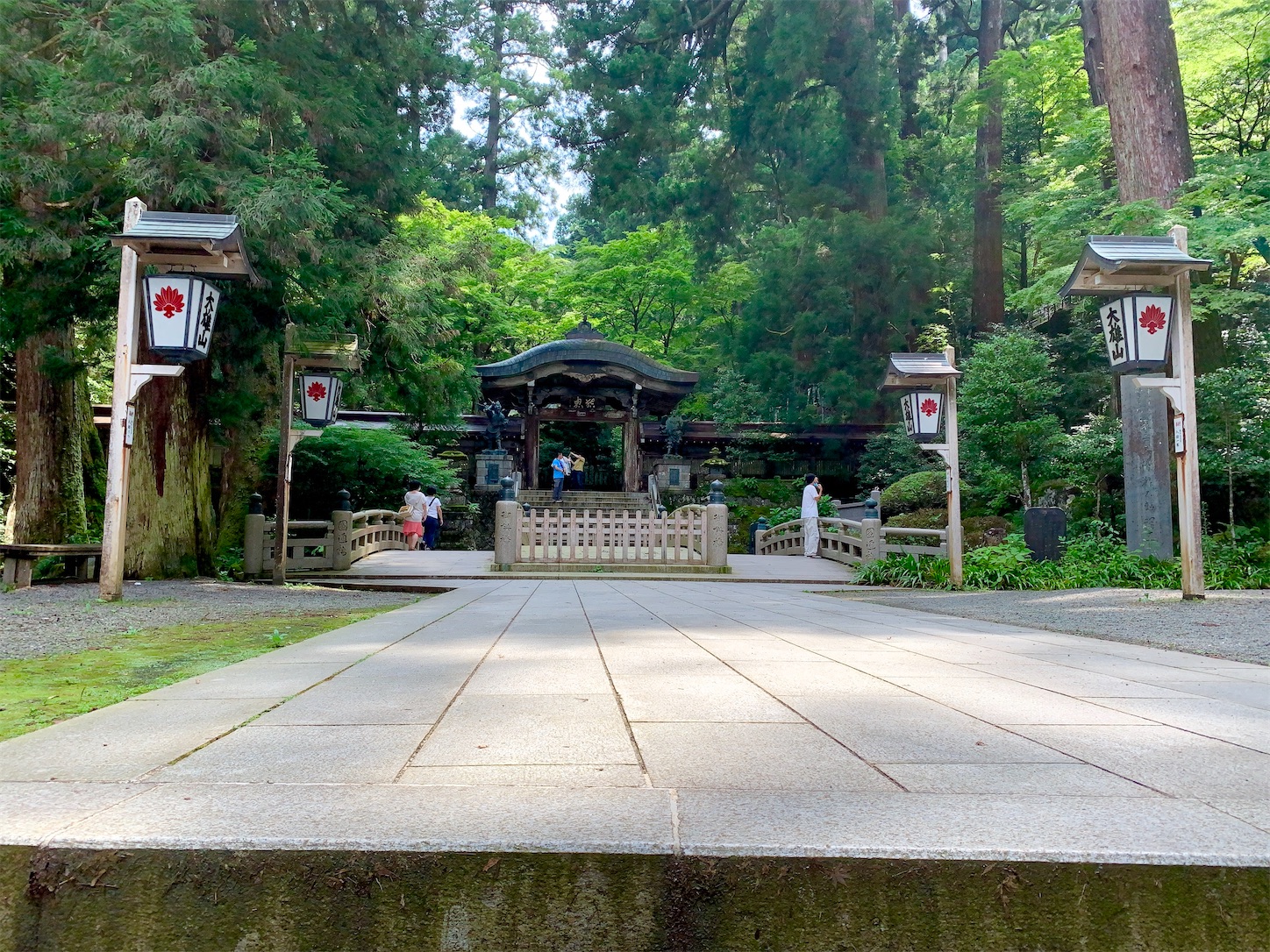 f:id:hotaru_spitz:20200814135503j:image