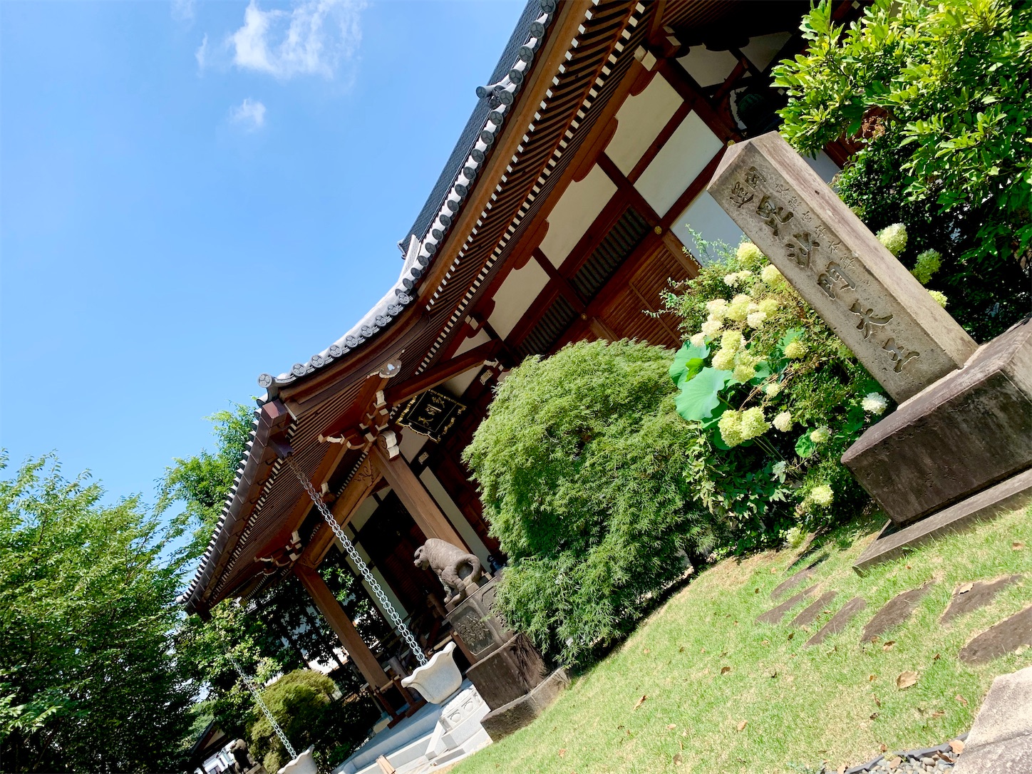 f:id:hotaru_spitz:20200816182521j:image