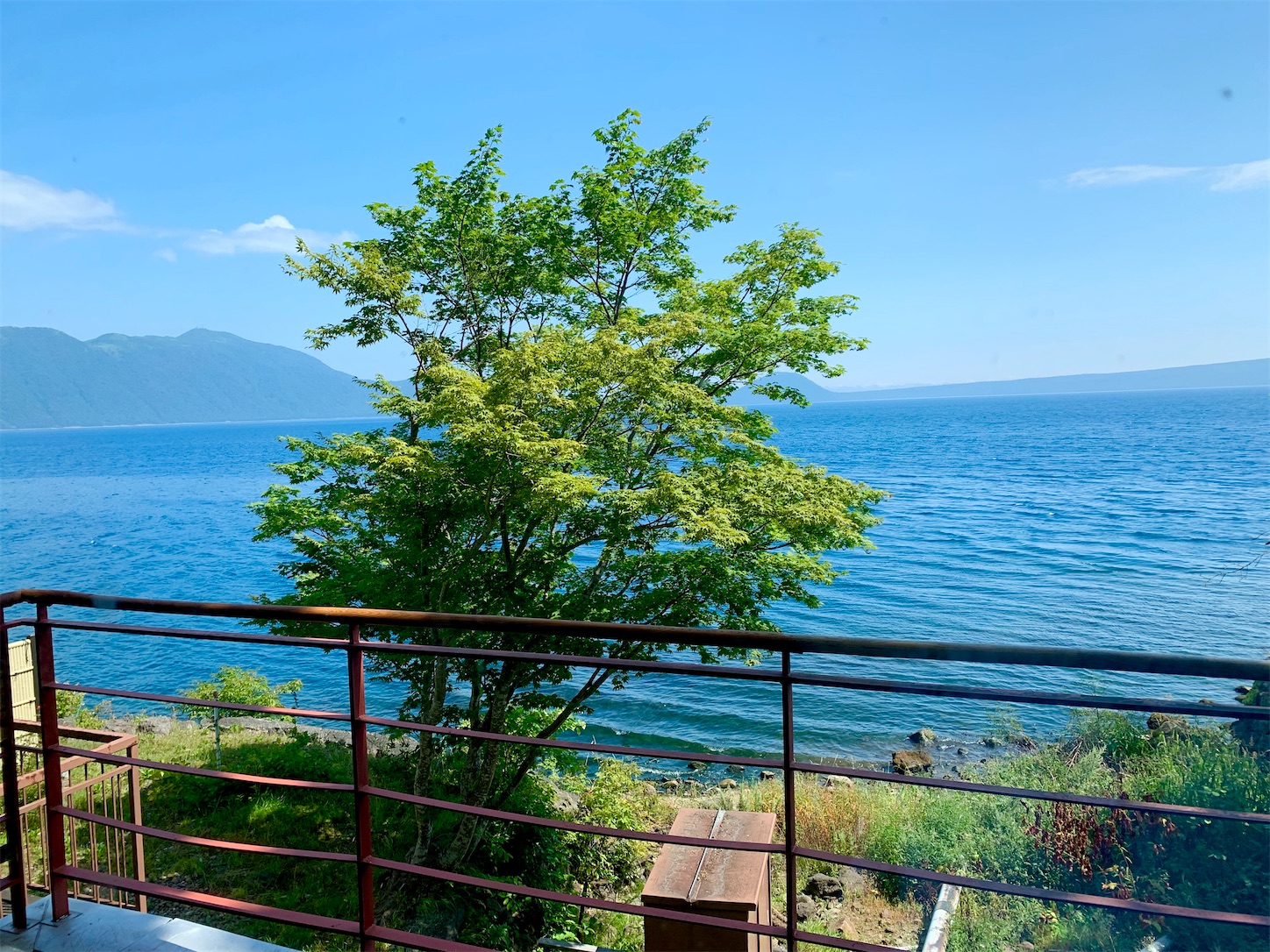 f:id:hotaru_spitz:20200828103528j:image f:id:hotaru_spitz:20200828103528j:image