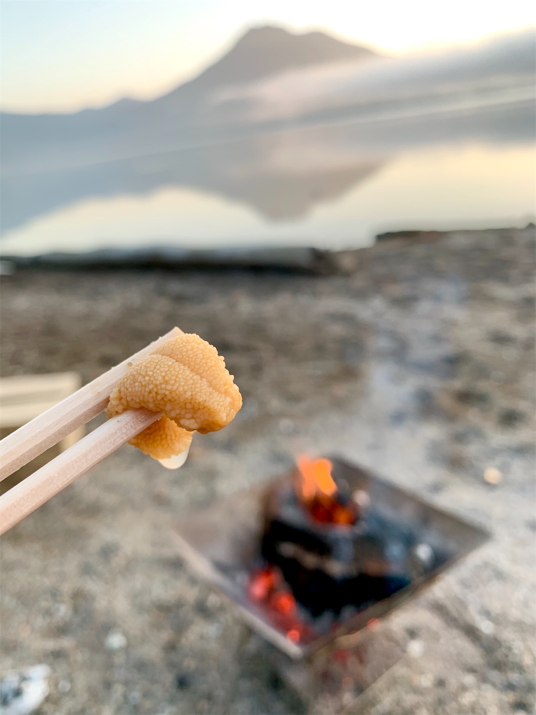 f:id:hotaru_spitz:20200828103607j:image f:id:hotaru_spitz:20200828103607j:image