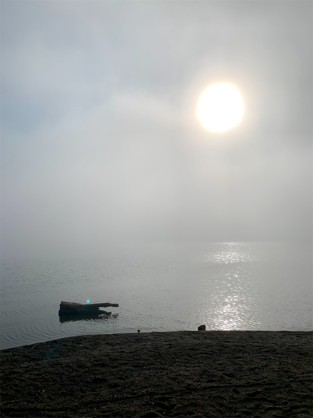 f:id:hotaru_spitz:20200828103612j:image f:id:hotaru_spitz:20200828103612j:image