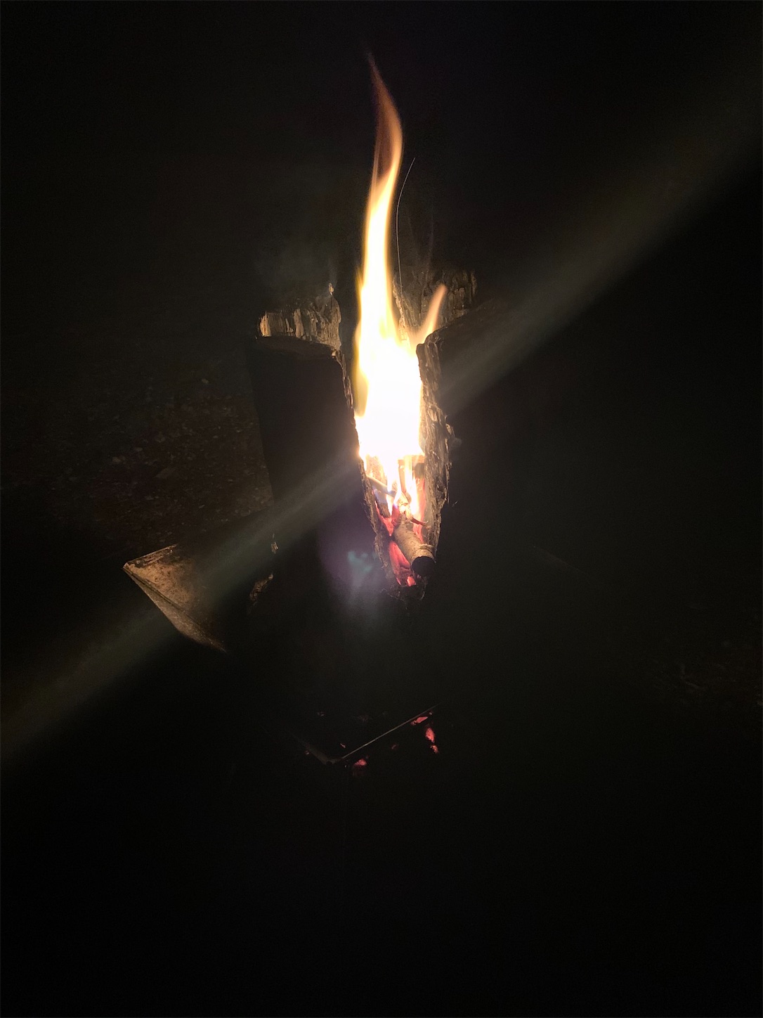 f:id:hotaru_spitz:20200828103616j:image f:id:hotaru_spitz:20200828103616j:image