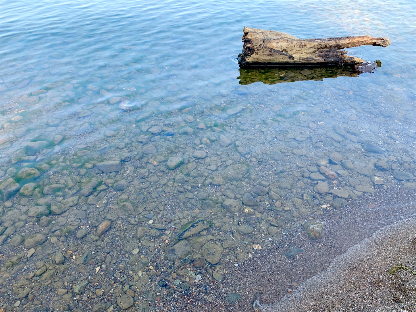 f:id:hotaru_spitz:20200829095217j:image f:id:hotaru_spitz:20200829095217j:image