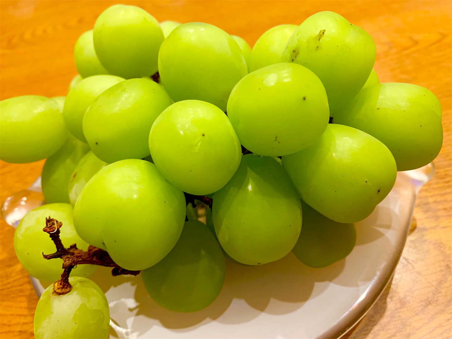 f:id:hotaru_spitz:20200911191810j:image