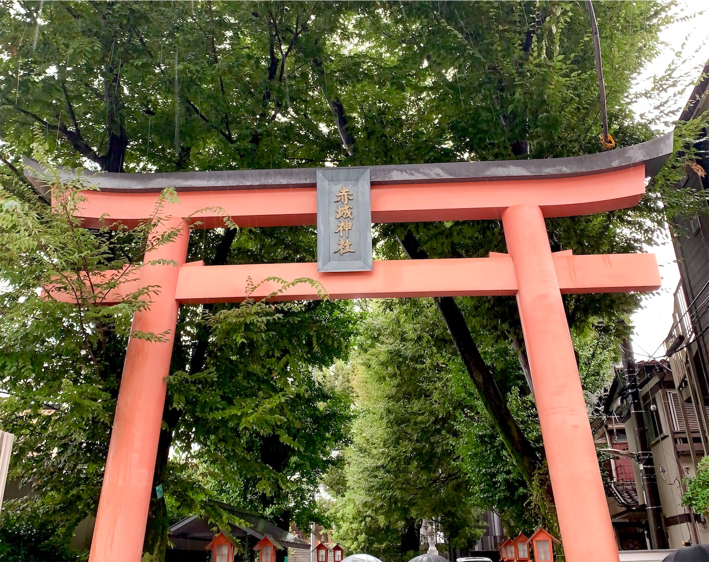 f:id:hotaru_spitz:20201010230851j:image