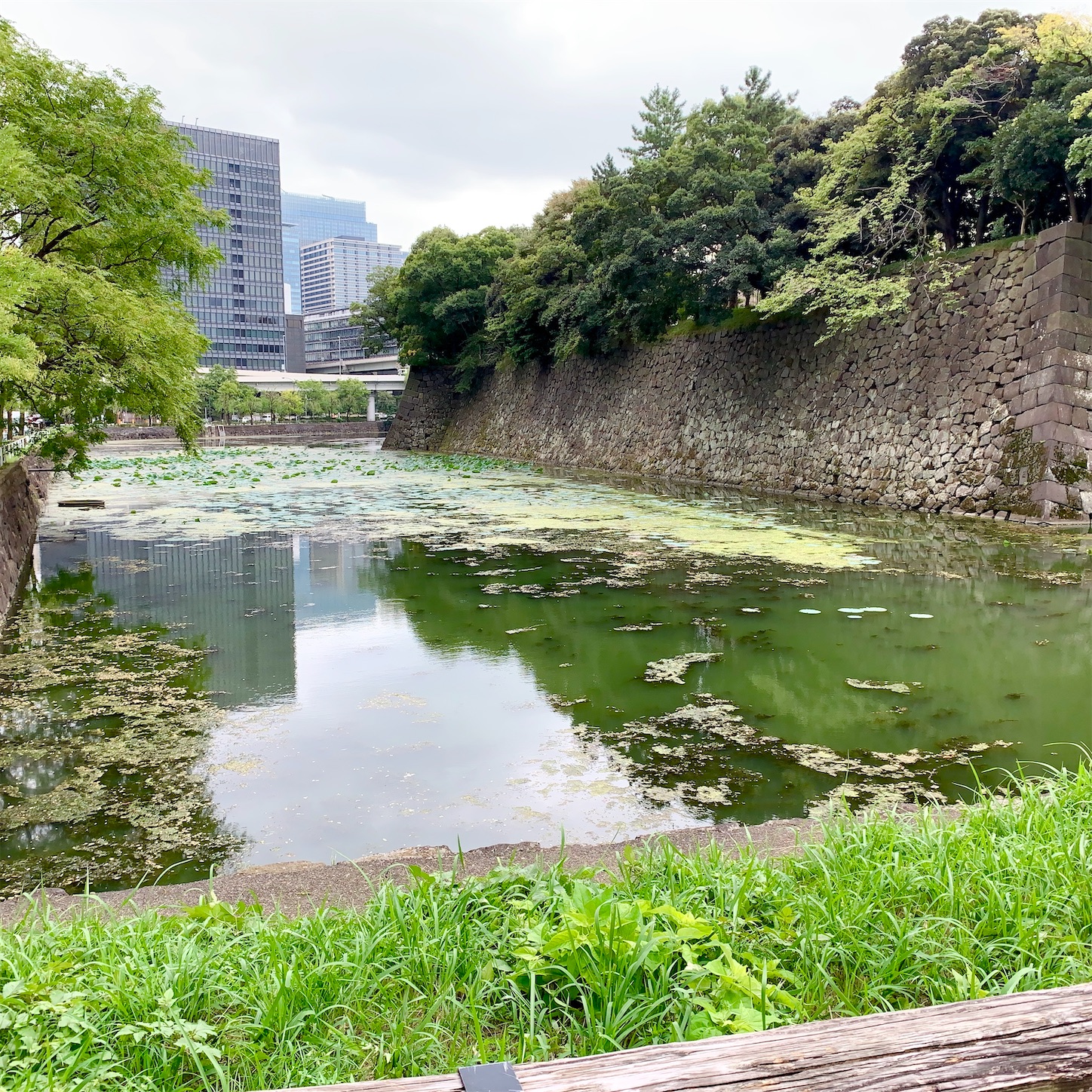 f:id:hotaru_spitz:20201015230835j:image