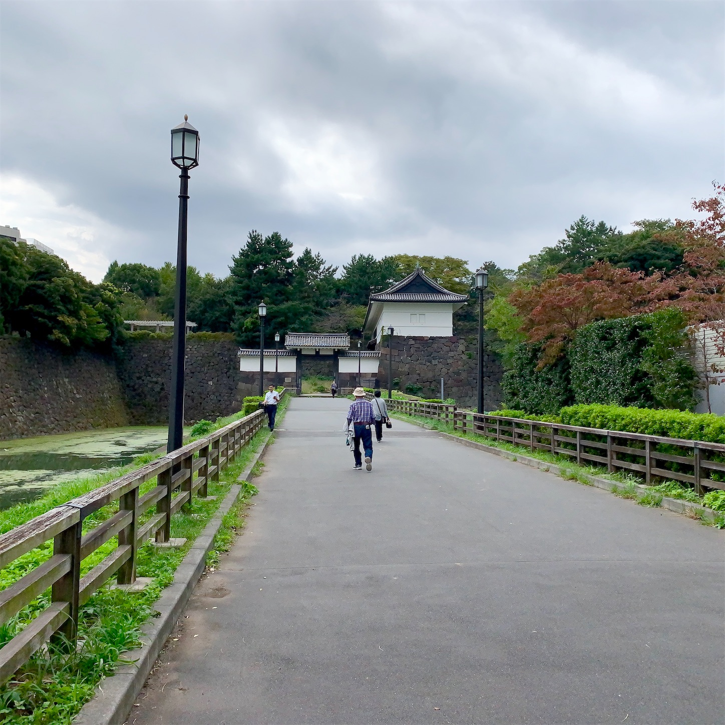 f:id:hotaru_spitz:20201015230935j:image