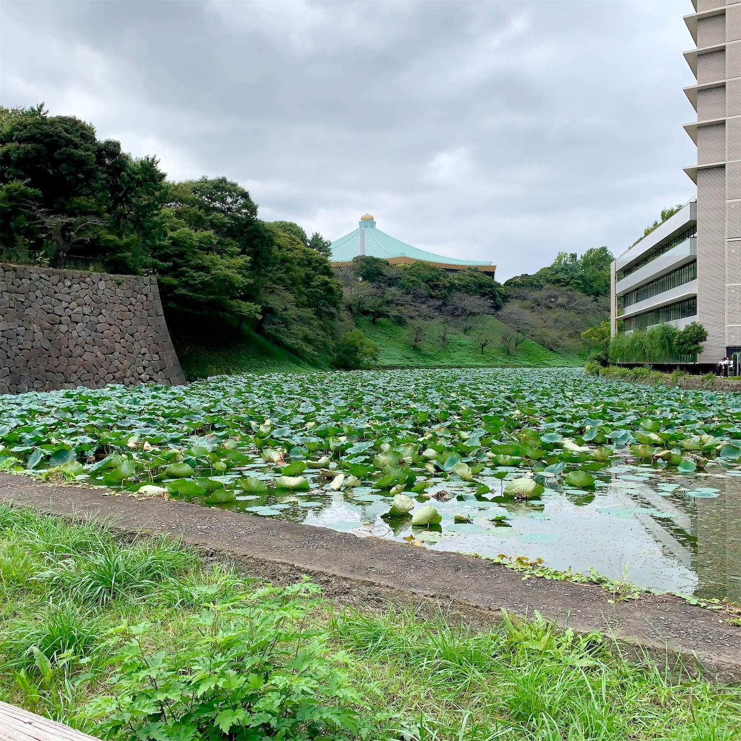 f:id:hotaru_spitz:20201015230950j:image