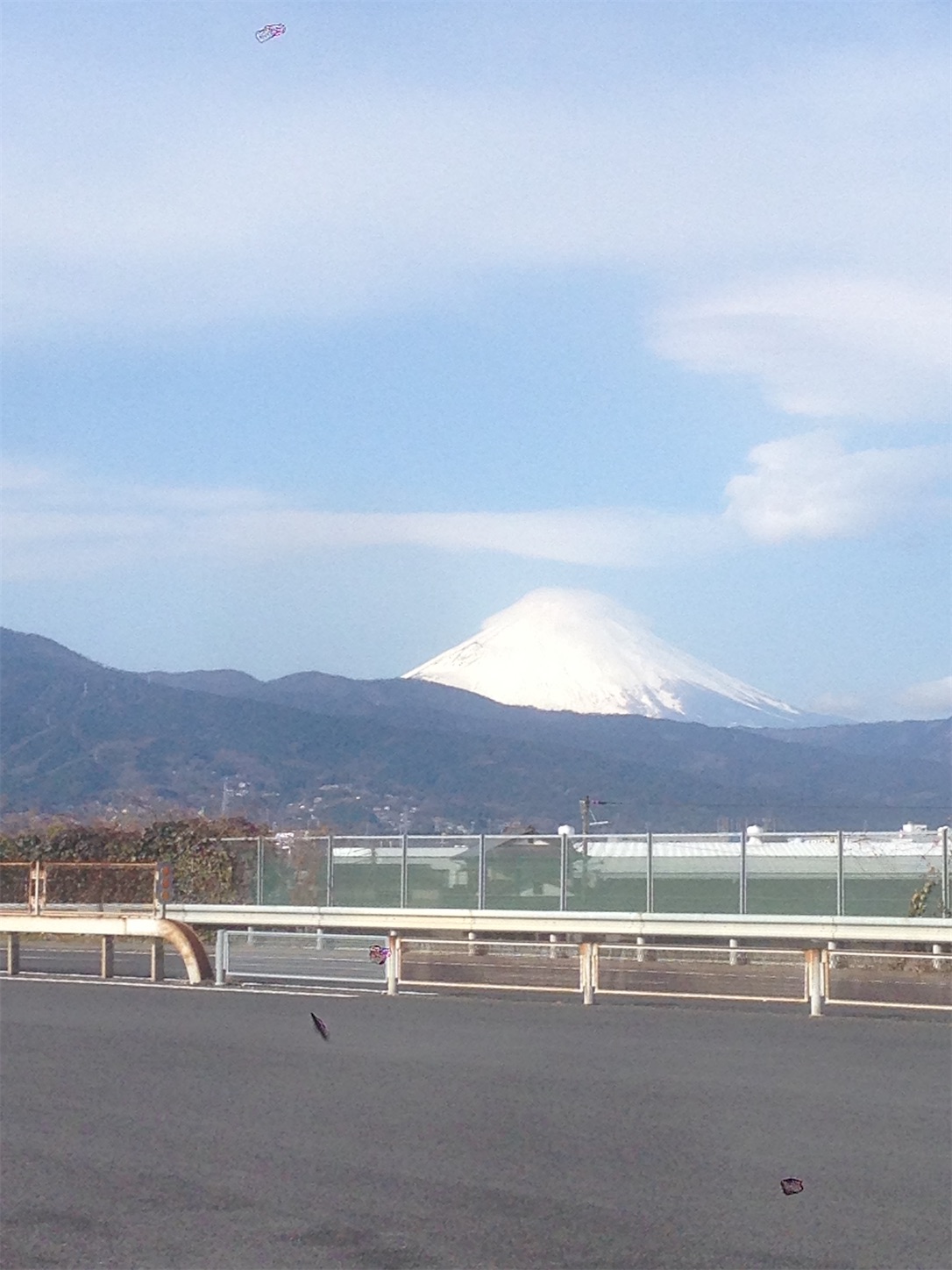 f:id:hotaru_spitz:20201022222043j:image