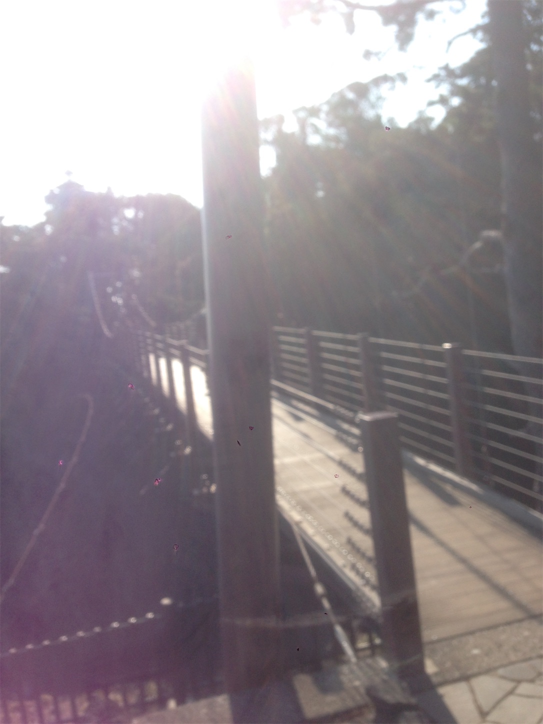 f:id:hotaru_spitz:20201022222057j:image
