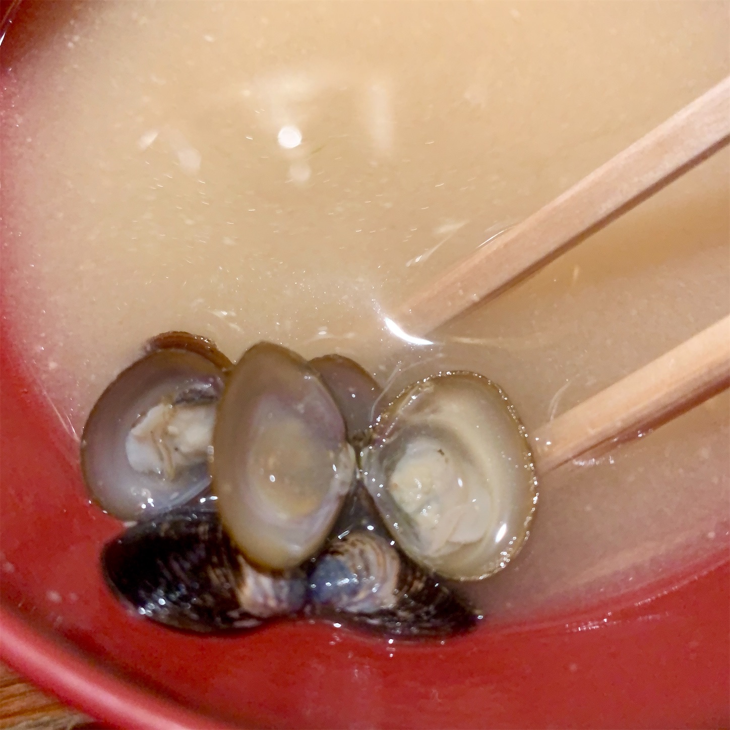 f:id:hotaru_spitz:20201129200501j:image