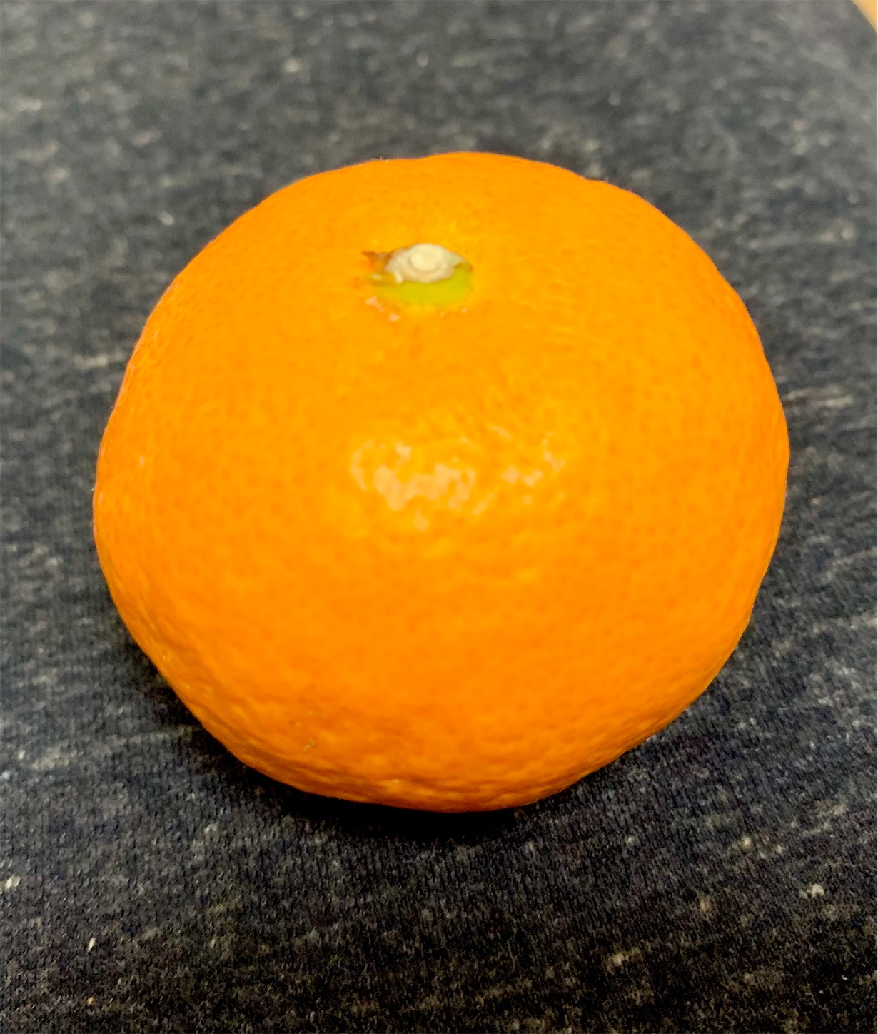 f:id:hotaru_spitz:20201129201531j:image