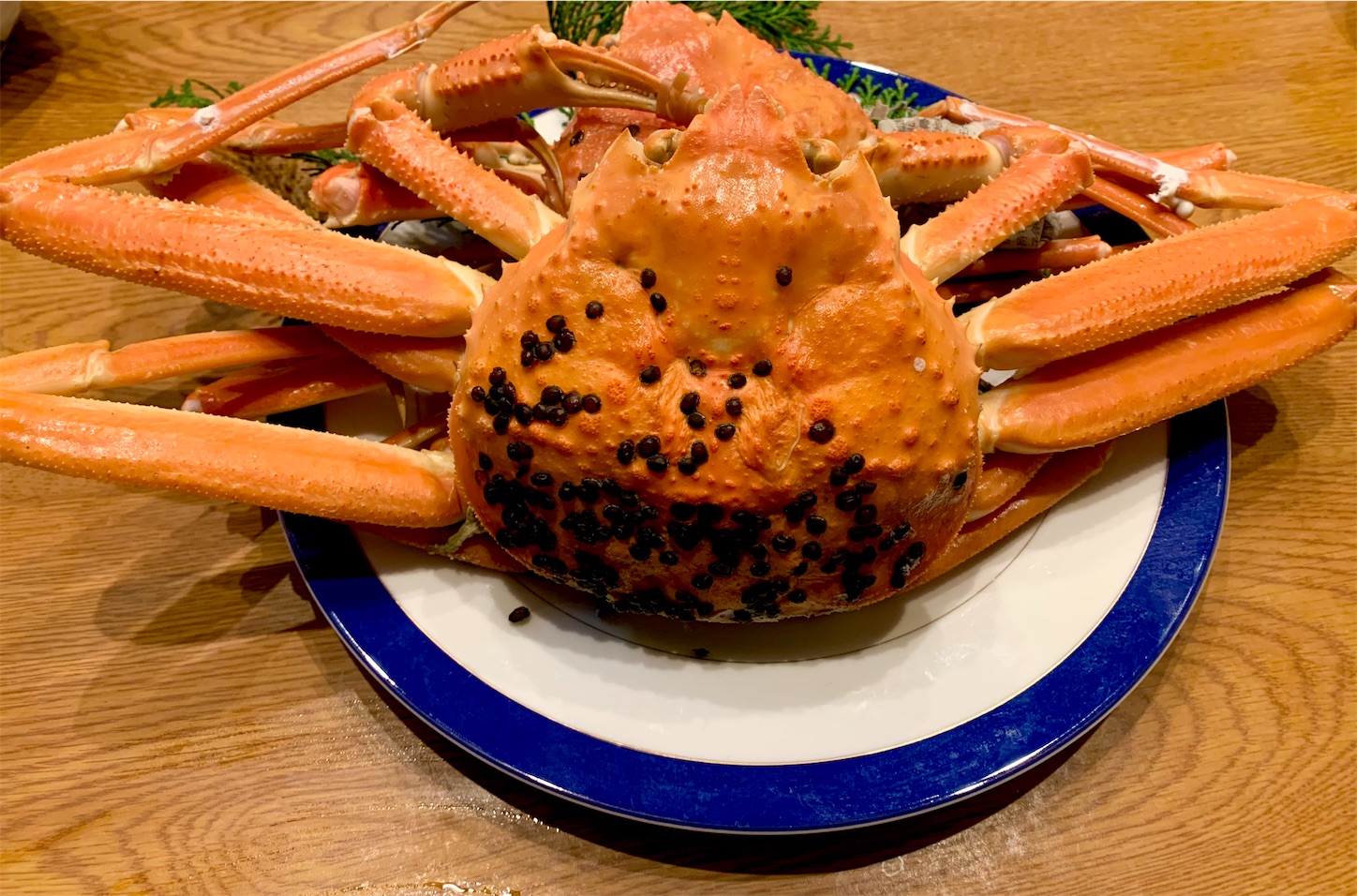 f:id:hotaru_spitz:20210101155403j:image