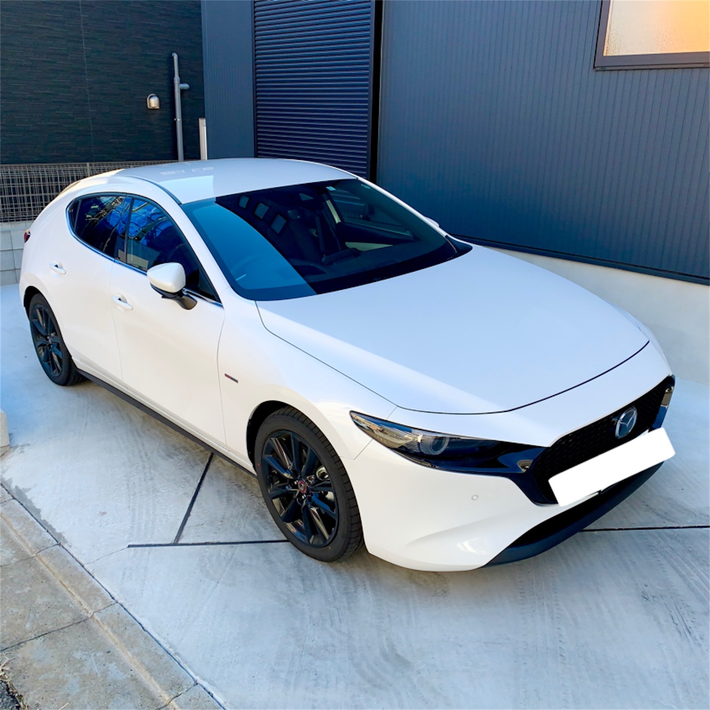 f:id:hotaru_spitz:20210101155837j:image