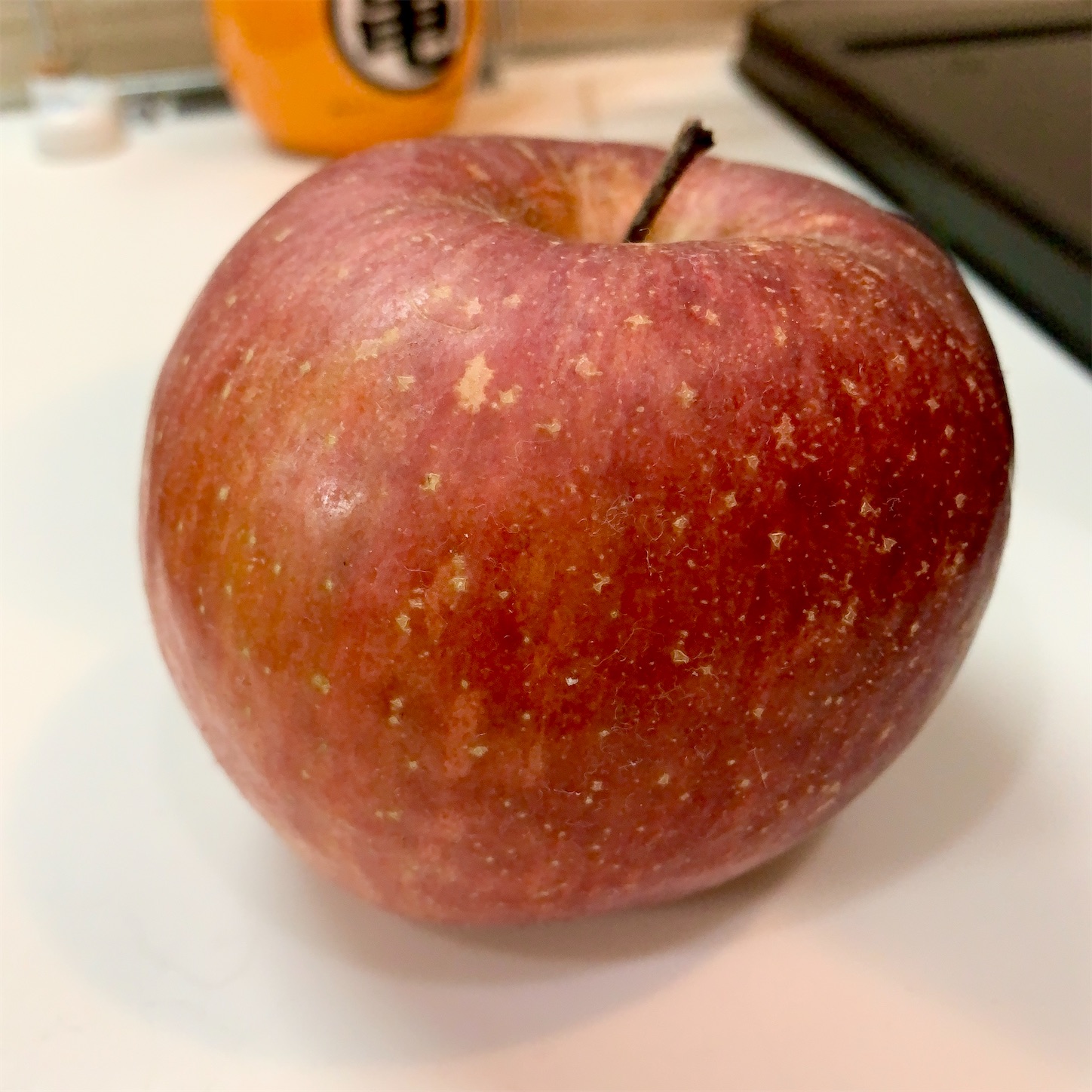 f:id:hotaru_spitz:20210116192516j:image f:id:hotaru_spitz:20210116192516j:image