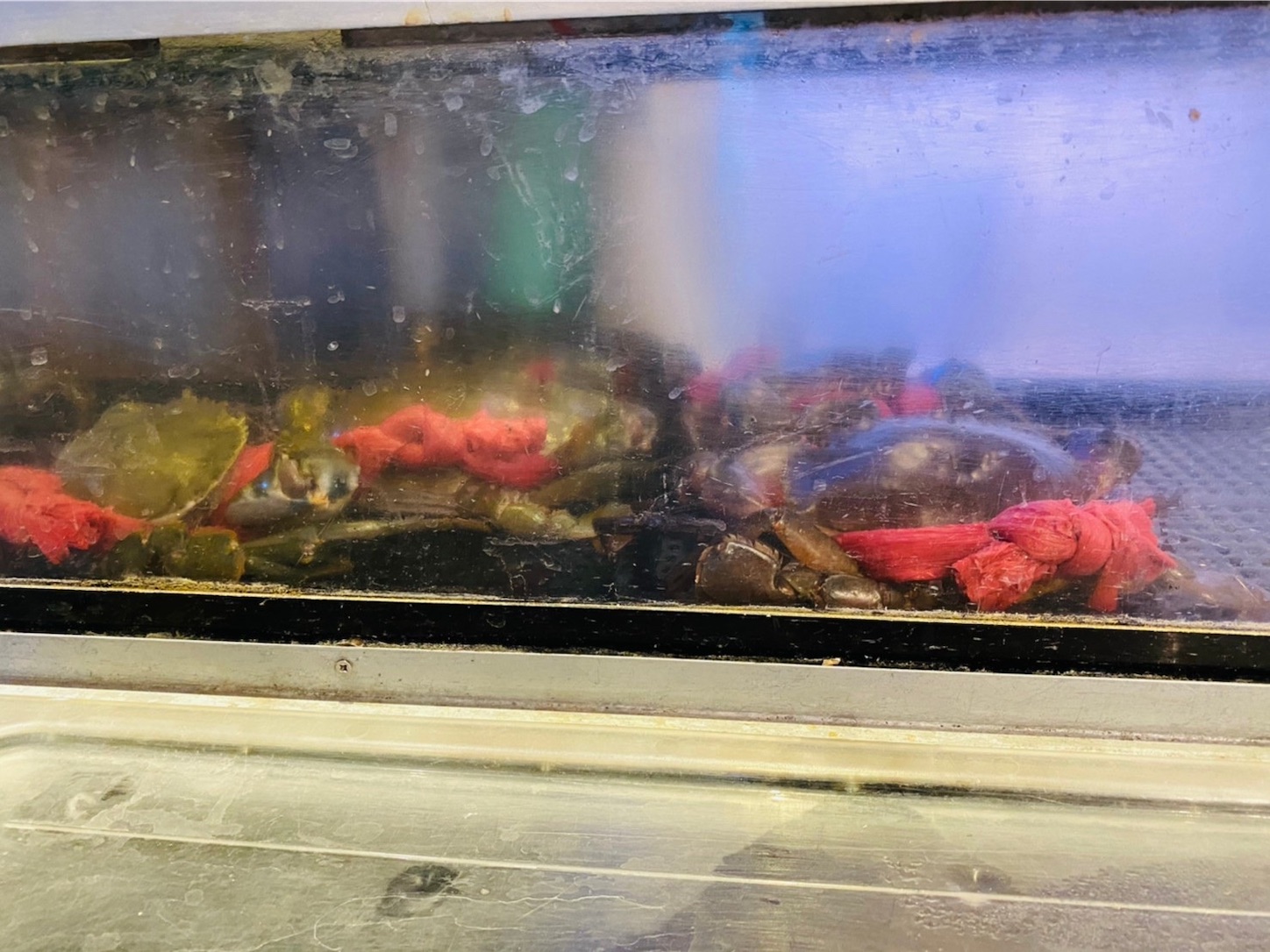 f:id:hotaru_spitz:20210131105816j:image