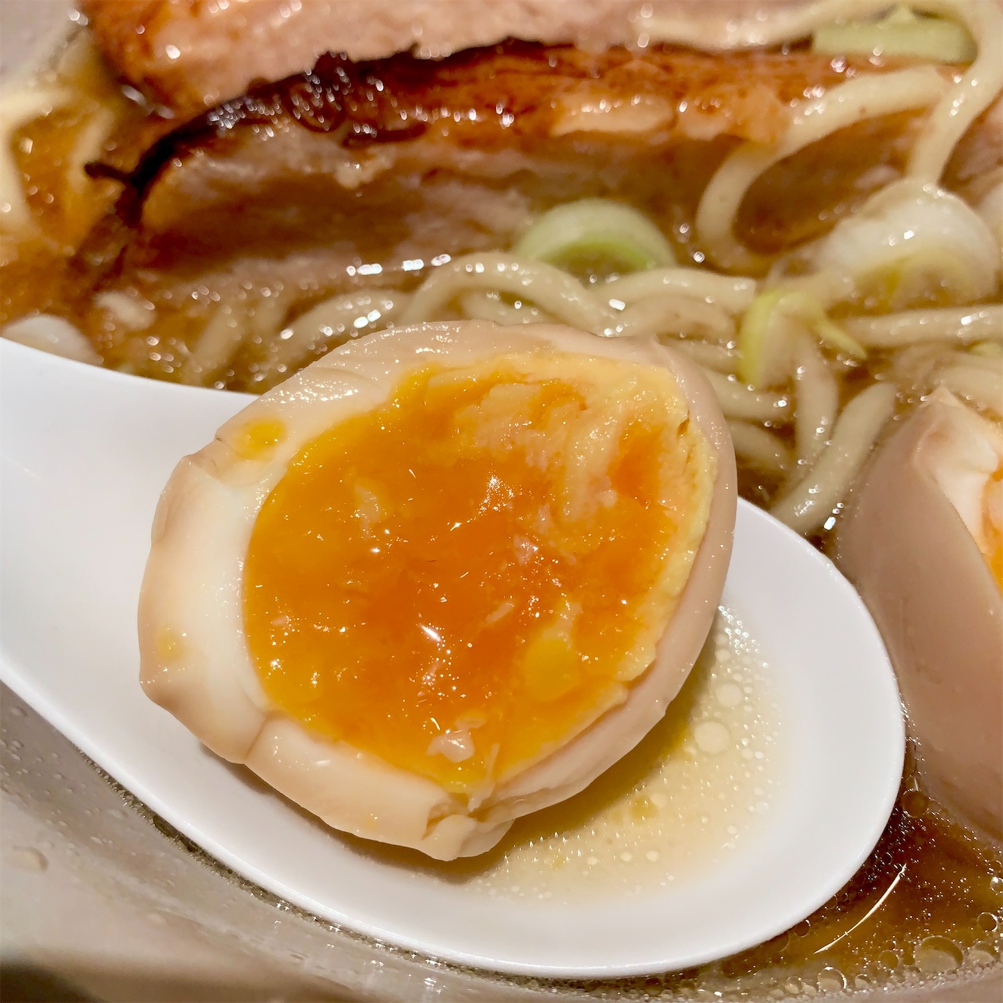 f:id:hotaru_spitz:20210217202729j:image