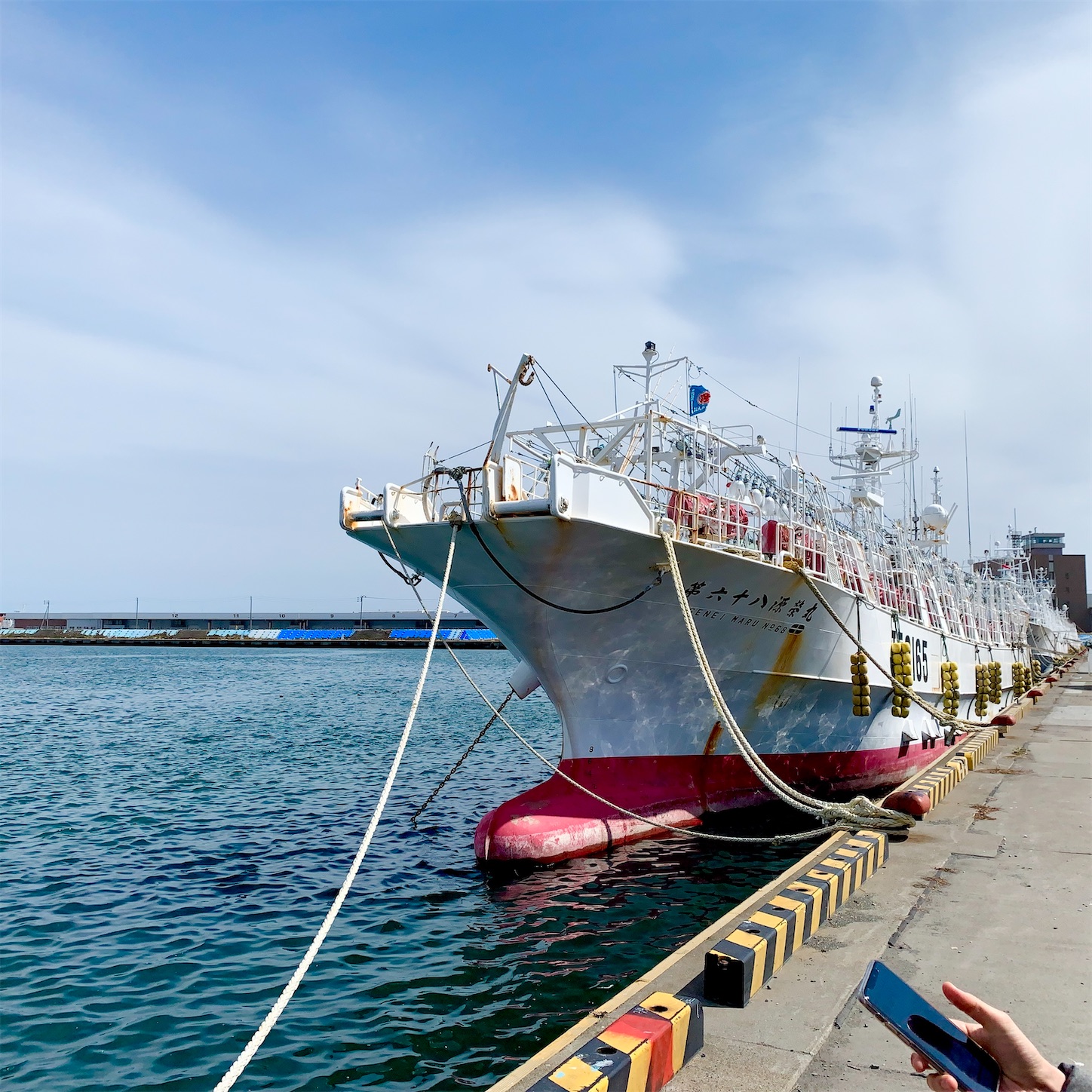 f:id:hotaru_spitz:20210330233634j:image