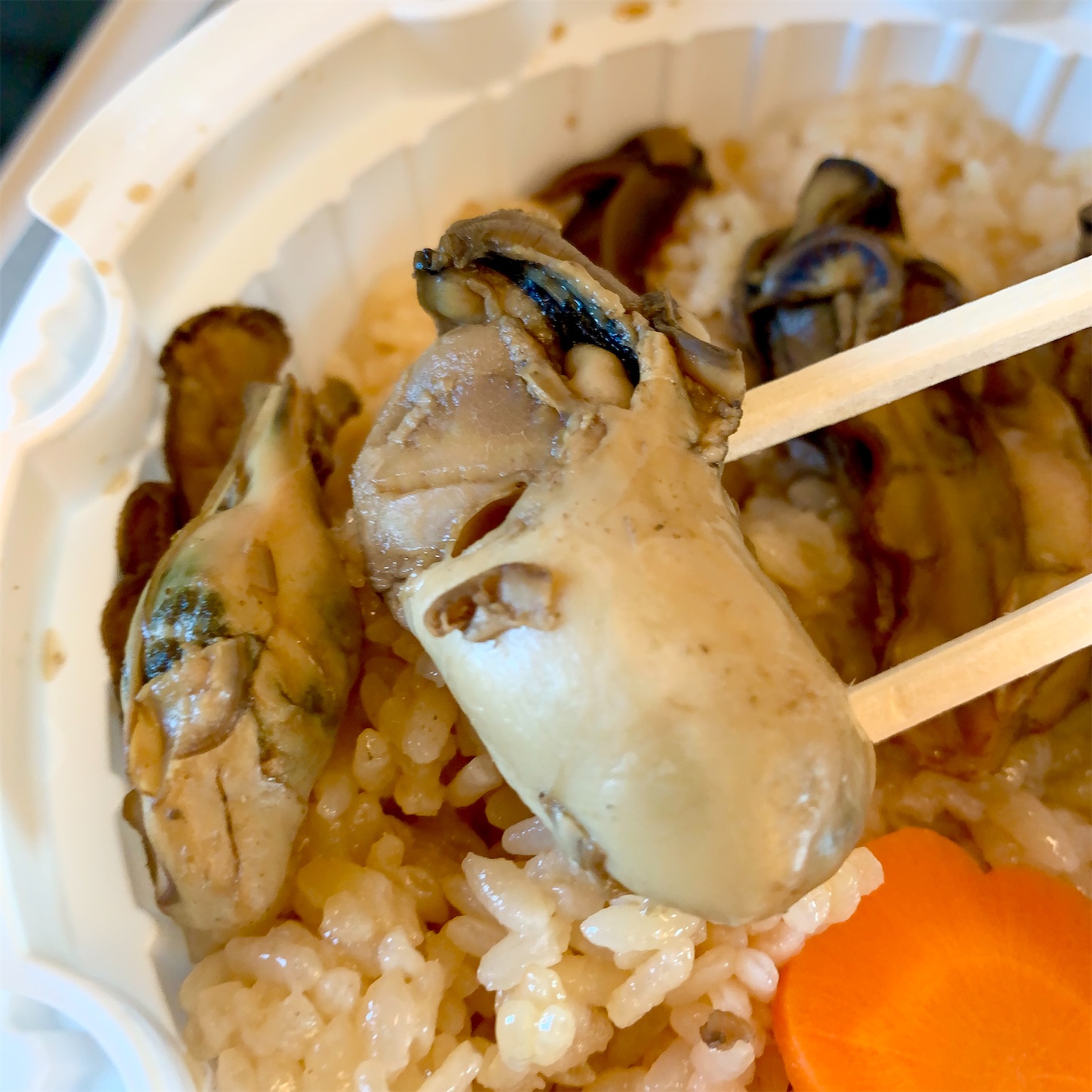 f:id:hotaru_spitz:20210330233647j:image f:id:hotaru_spitz:20210330233647j:image