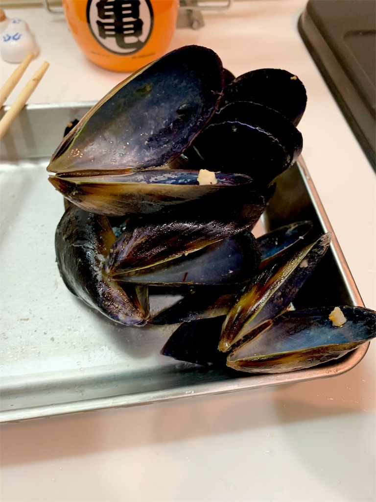 f:id:hotaru_spitz:20210801010720j:image f:id:hotaru_spitz:20210801010720j:image