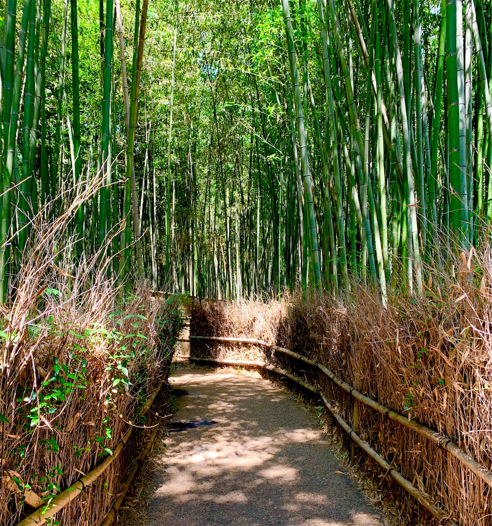 f:id:hotaru_spitz:20211016122924j:image