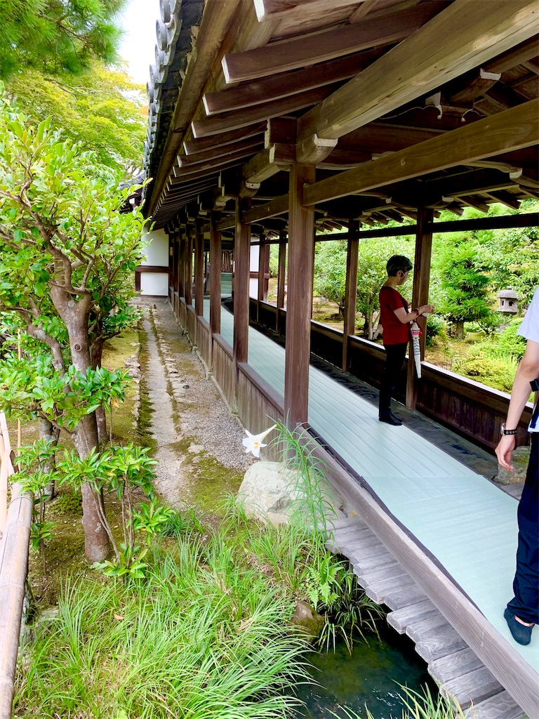 f:id:hotaru_spitz:20211016122942j:image