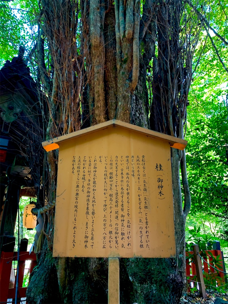 f:id:hotaru_spitz:20211016123407j:image f:id:hotaru_spitz:20211016123407j:image