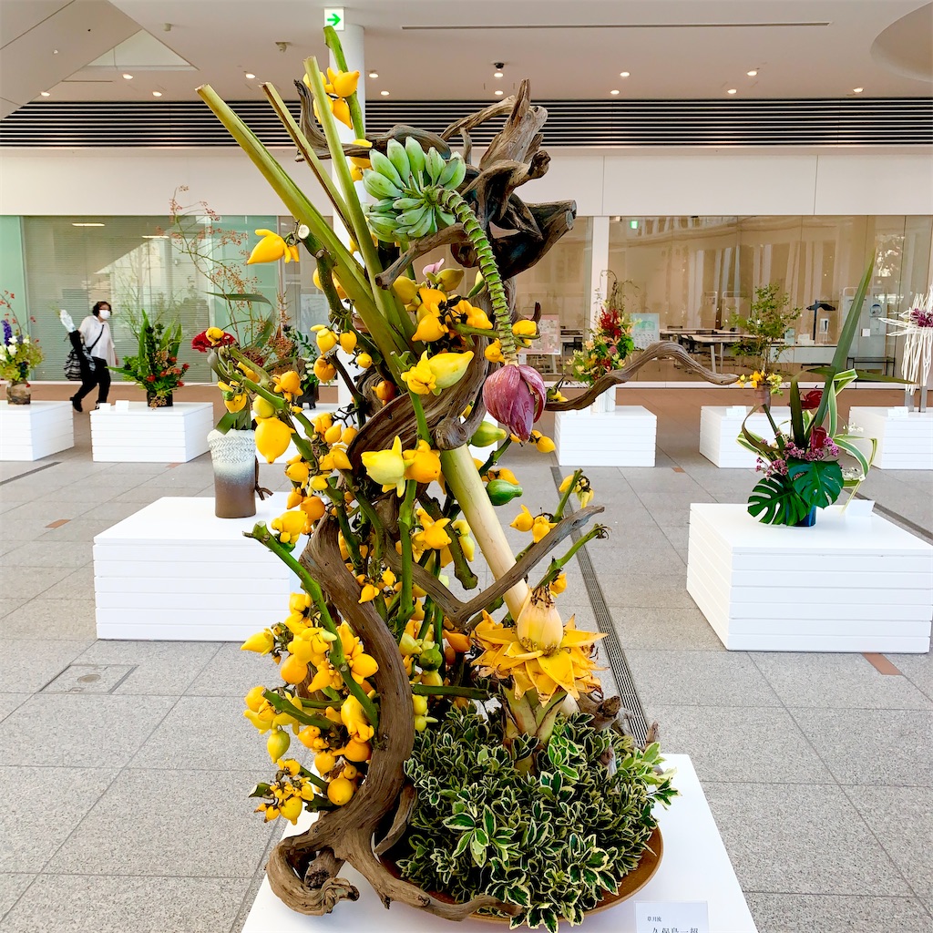 f:id:hotaru_spitz:20211110011433j:image f:id:hotaru_spitz:20211110011433j:image