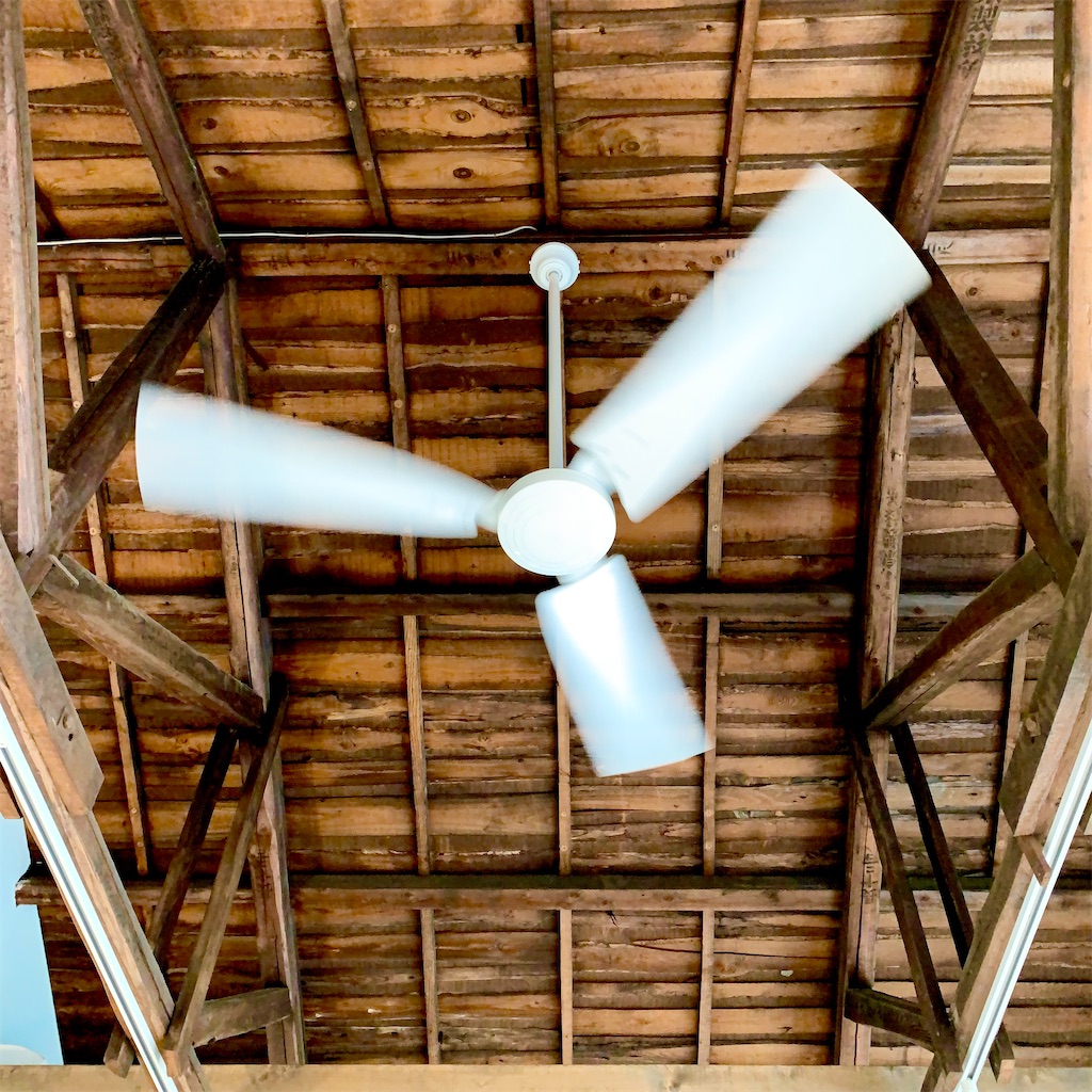 f:id:hotaru_spitz:20211110143601j:image