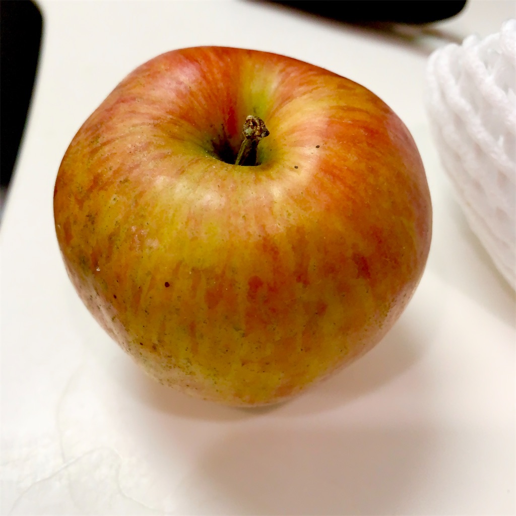 f:id:hotaru_spitz:20220403233114j:image