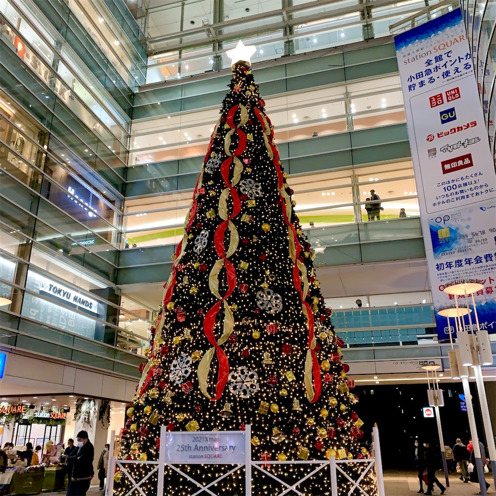 f:id:hotaru_spitz:20220417202652j:image f:id:hotaru_spitz:20220417202652j:image