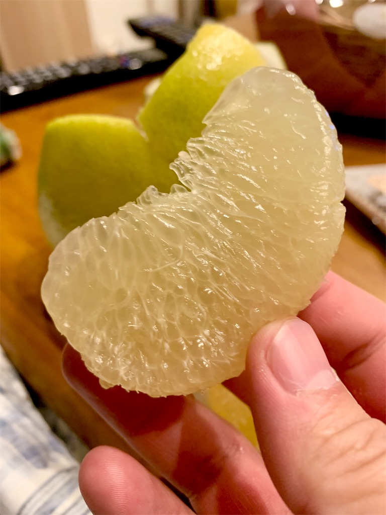 f:id:hotaru_spitz:20220516232842j:image