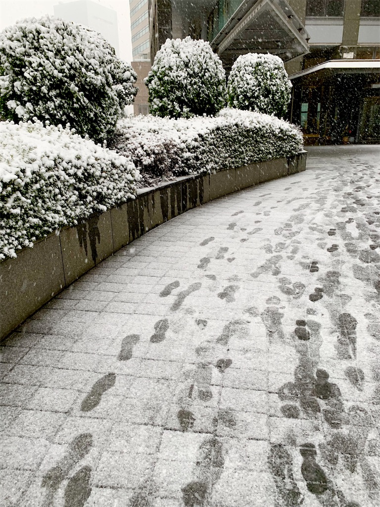 f:id:hotaru_spitz:20220524231133j:image