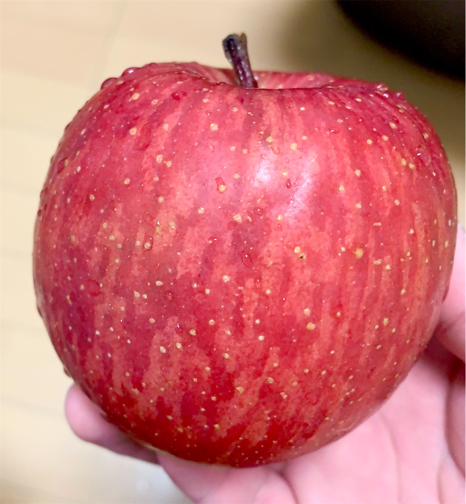 f:id:hotaru_spitz:20220724233451j:image