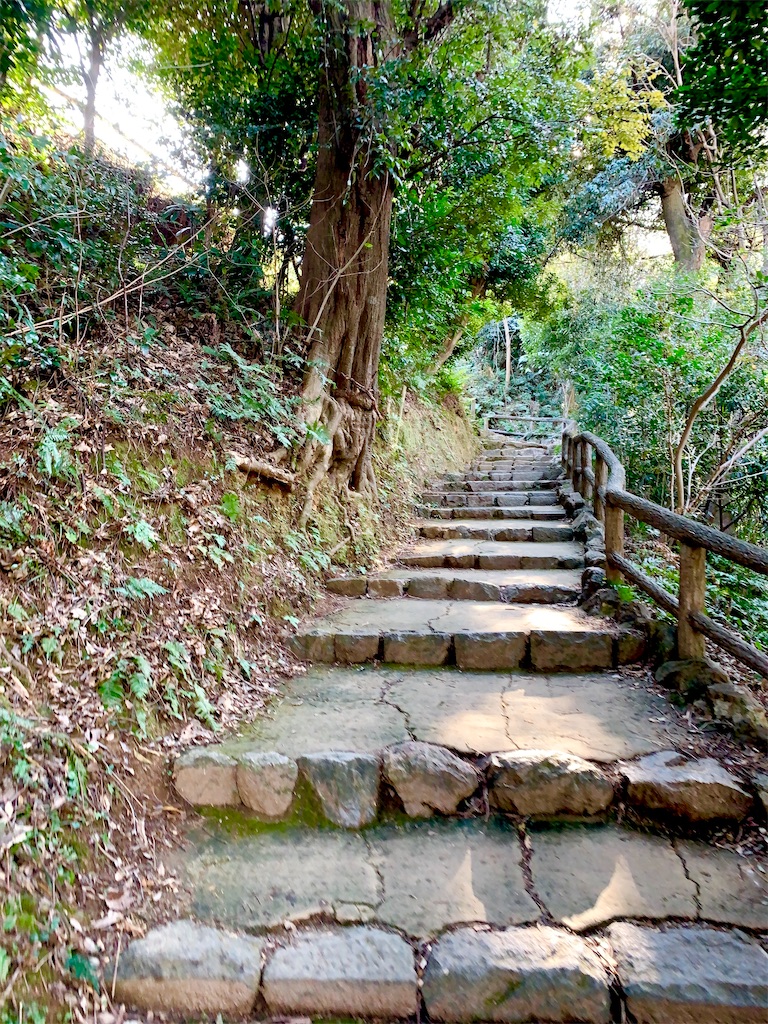 f:id:hotaru_spitz:20220724234113j:image