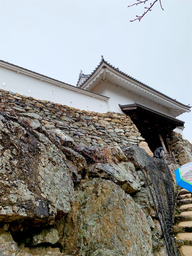 f:id:hotaru_spitz:20220724234940j:image
