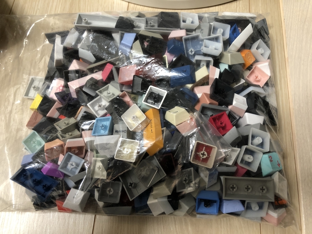 f:id:hotate0:20190128235129j:plain f:id:hotate0:20190128235129j:plain